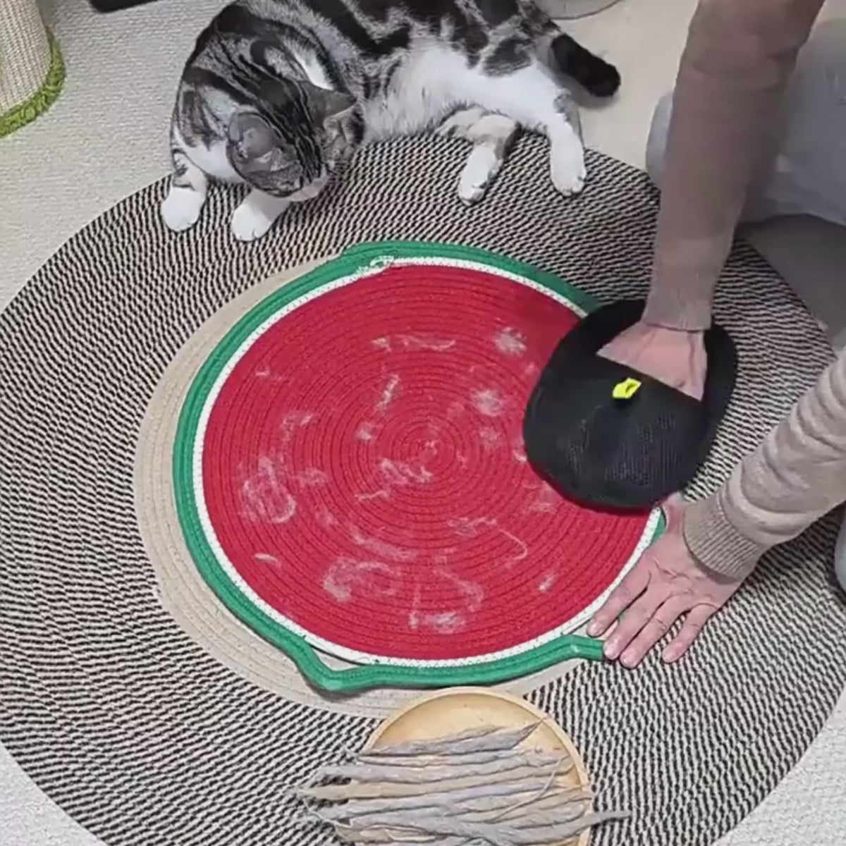 Reusable Pet Hair Remover Glove